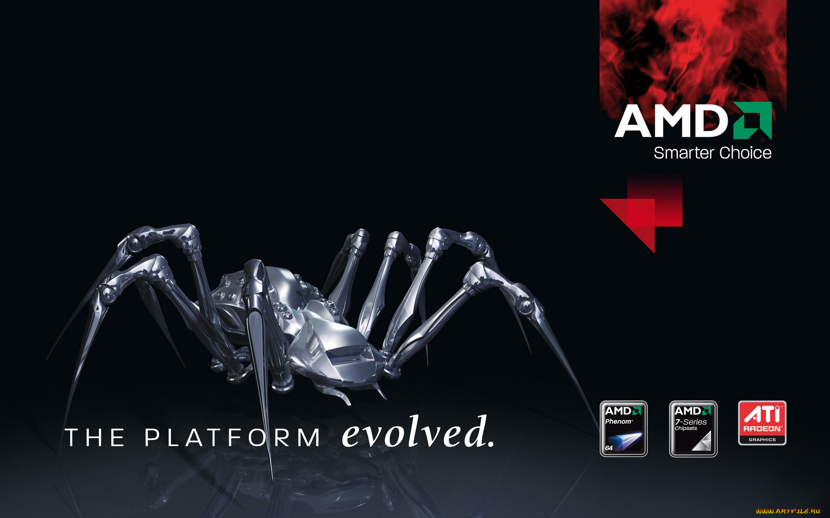 , amd